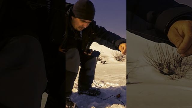 Дуплет зимний