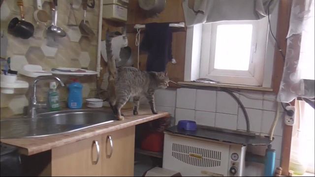 Мой фильм  Баранку крутим и хлеб печём