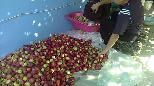 Делаем  яблочный сок. Самодельная терка и пресс.Making Apple juice. Homemade grater and press..mp4