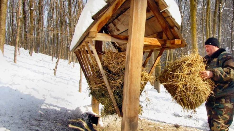 ШЛ "Муравей" (г. Радужный), Баттл ШЛ VS ССО "Берендей"