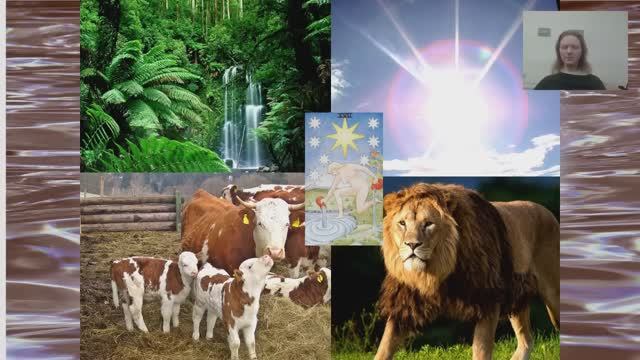 Целительство