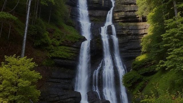 Расслабляющий звук лесного водопада. Пение птиц