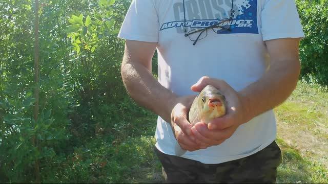 Отдыхаем!Ловим рыбку!