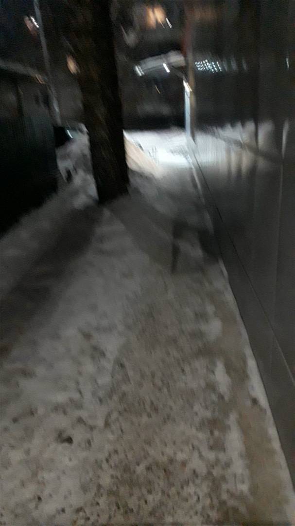 Игорь Петрович Сходил-Поздравил(Попытался) Любимую Им Екатерину Сергеевну С 8 Мартом(07-08.03.2025)