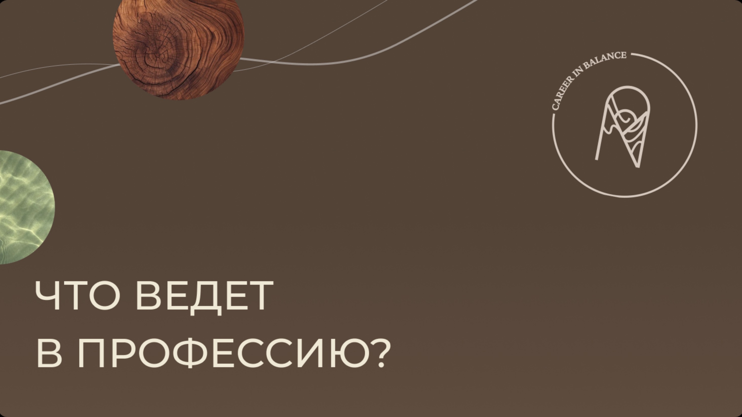 Отрывок лекции "что ведет в профессию?"