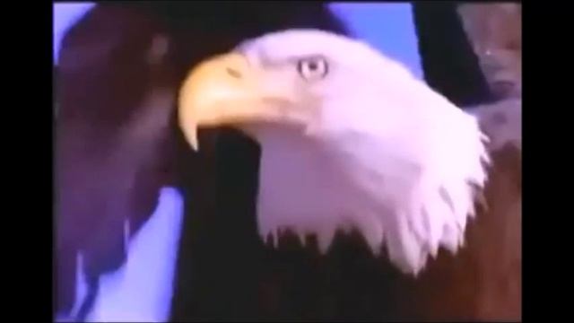 ОРЁЛ-2 ( Полёт во сне)