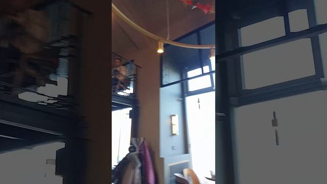 ПУТЕШЕСТВИЕ В САНКТ-ПЕТЕРБУРГ. НЕОБЫЧНЫЙ КНИЖНЫЙ МАГАЗИН "ПОДПИСНЫЕ ИЗДАНИЯ"