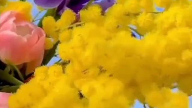 Счастья и любви!            Женского счастья!