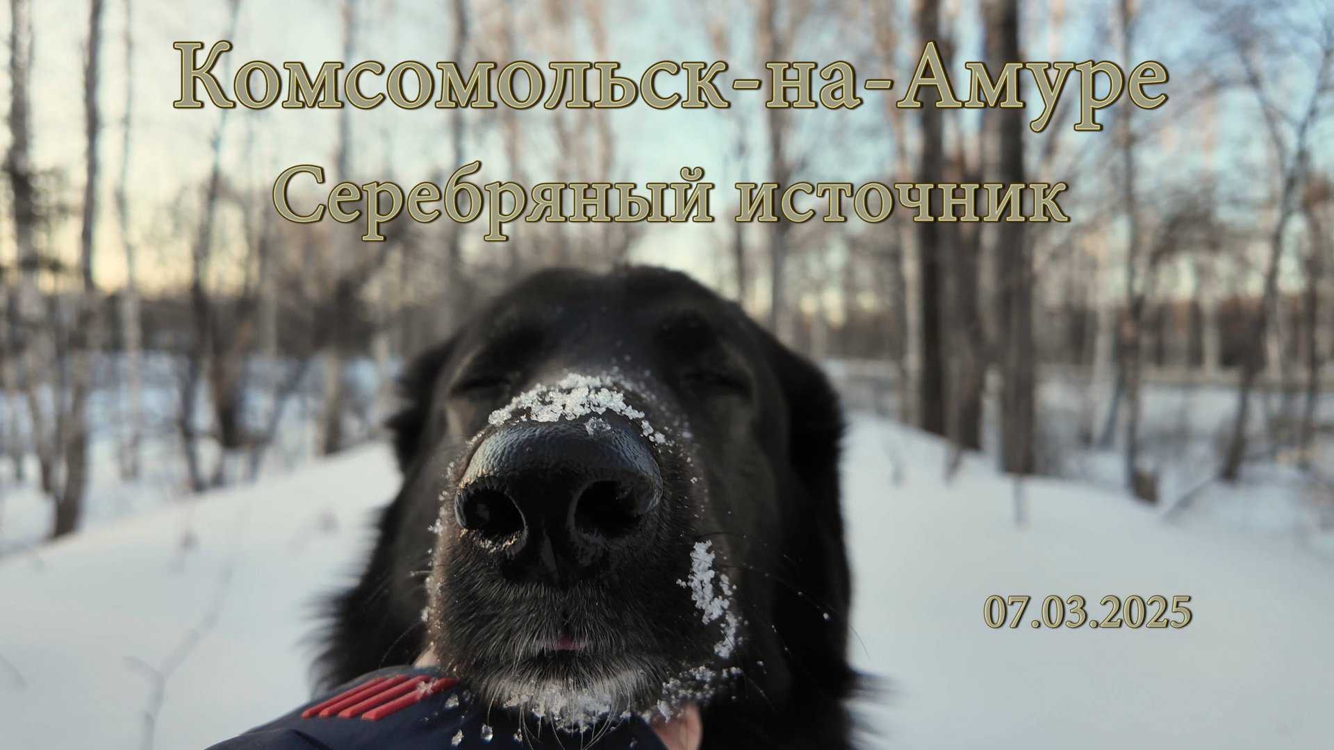 Комсомольск-на-Амуре. Серебряный источник. DJI Osmo Pocket 3.