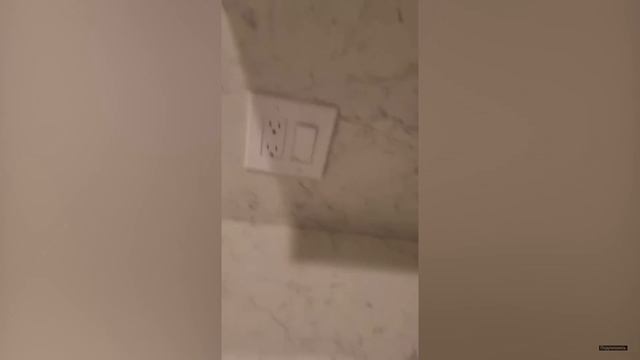 Пушистые смешавки.12