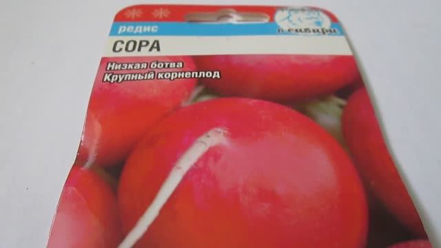 Редис  Сора  Семена
