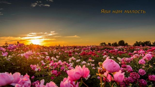 Ольга Марина - Яви нам милость...
