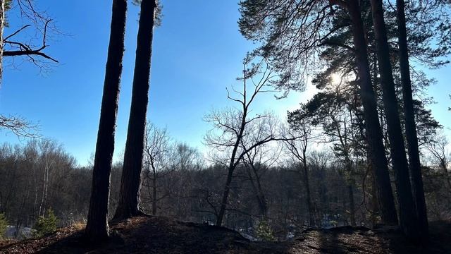 Начало марта