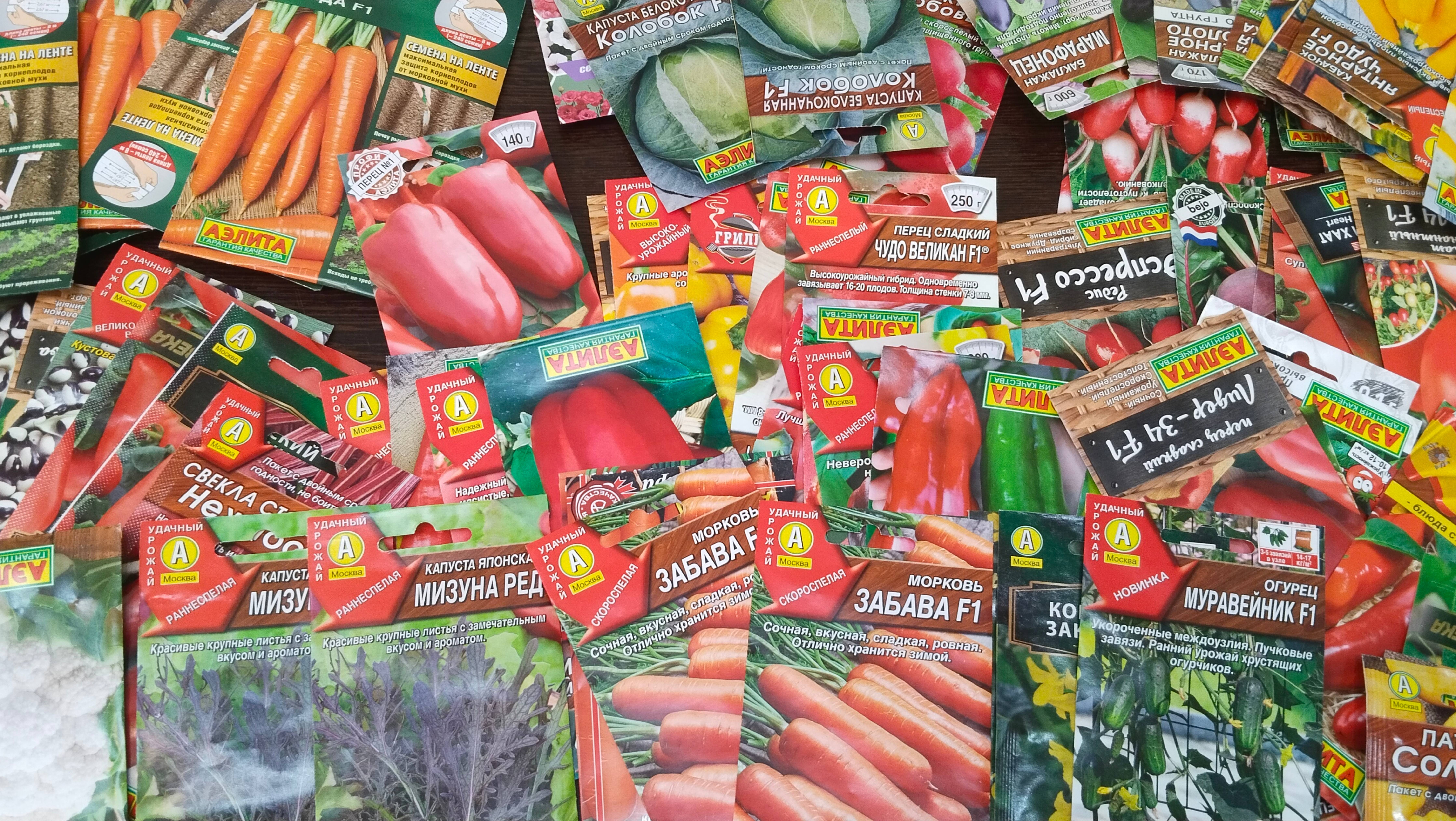 Обзор садовой закупки. Как вы снимаете стресс? Я вот так!