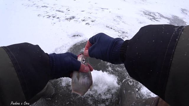 Зимняя Рыбалка в Марте по Последнему Льду на Течение на Оке 2025!