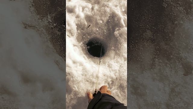 Необычная зимняя рыбалка