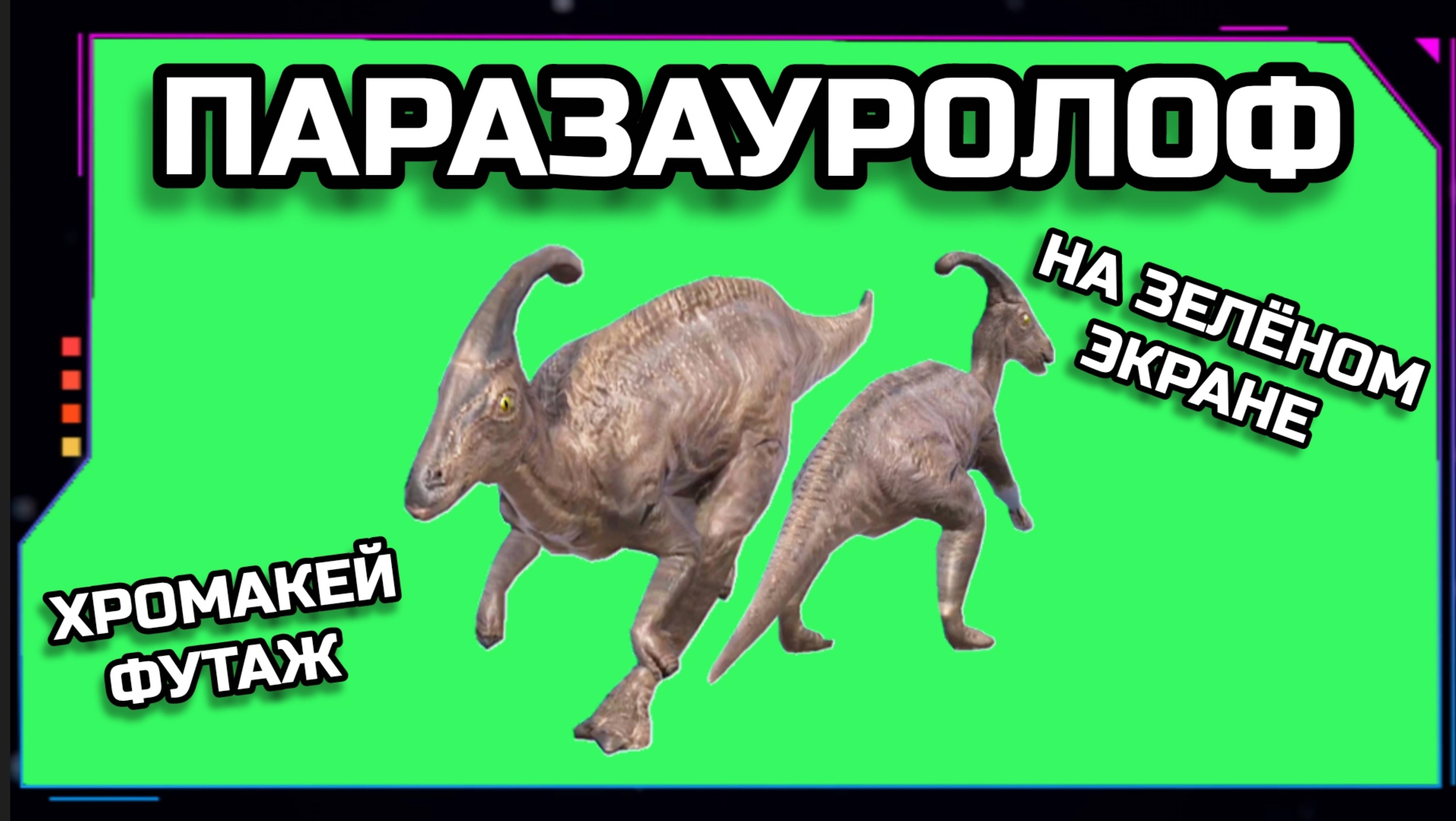 ДИНОЗАВР ПАРАЗАУРОЛОФ видео GREEN SCREEN футаж. ХРОМАКЕЙ АНИМАЦИЯ на зелёном экране.