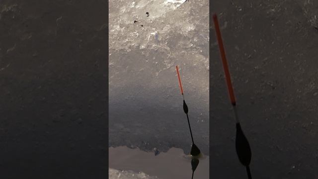 Поплавок зимний