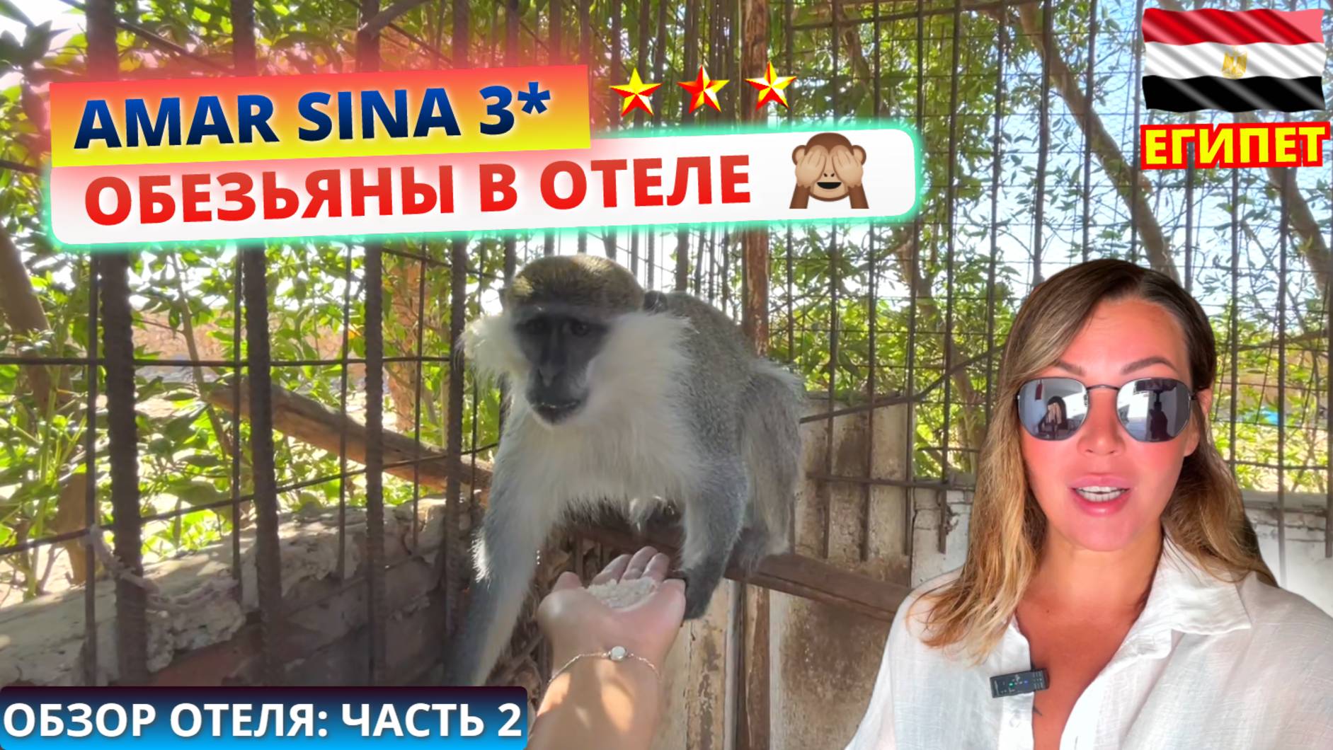 Египет. Зоопарк в трехзвездочном отеле Amar Sina Boutique Village 3* Шарм эль Шейх