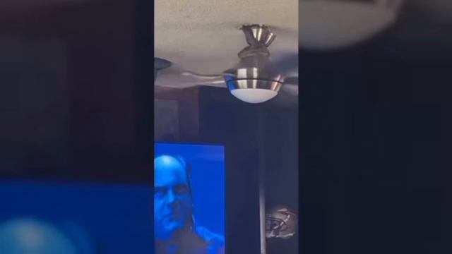 Бросок Кобры 🐍