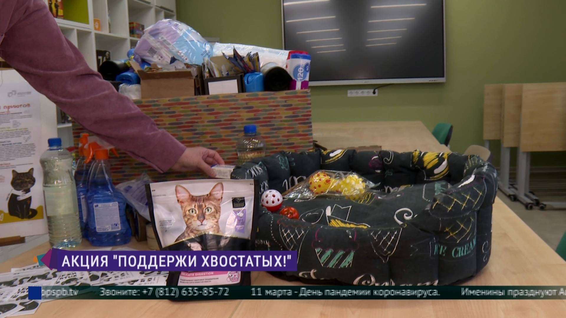 Благотворительная акция «Поддержи хвостатых»