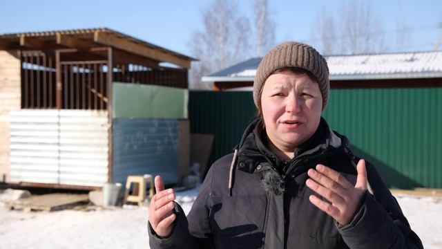 Известия. Владимир Друзья в доме - Пёс Элвис