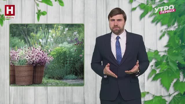 Ароматный сад | ПРО ЦВЕТ