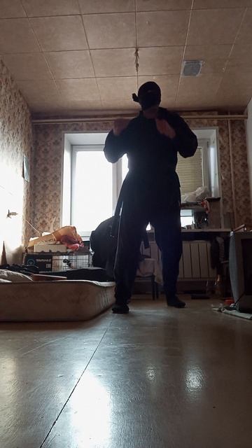 Very Nordic Ninja: Vr! (12.03.2025) Крайне Северный Ниндзя: Вр! #VeryNordicNinjaLavinAComboKicksArts