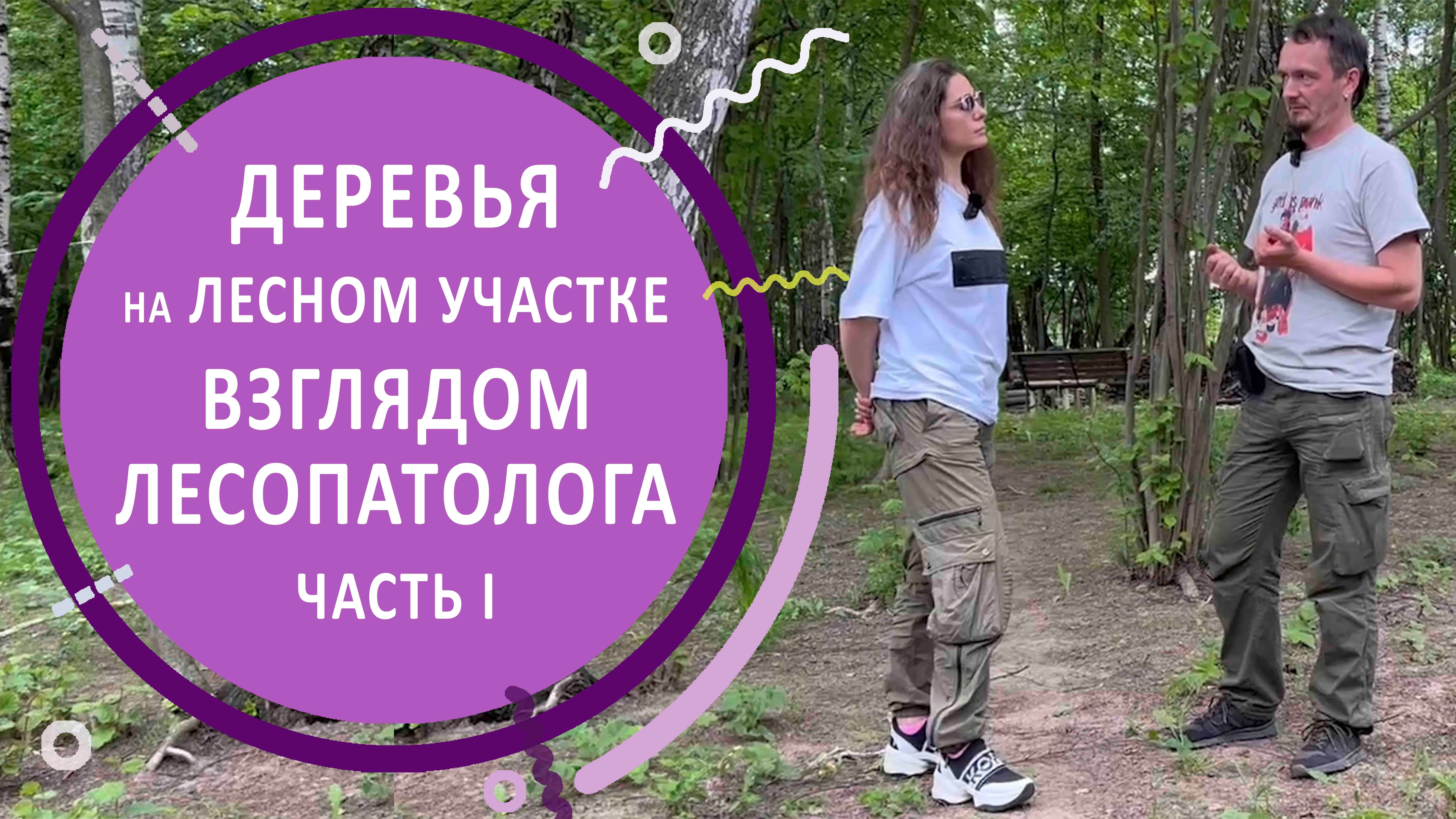 Лесной участок. Обследование состояния деревьев. Часть 1