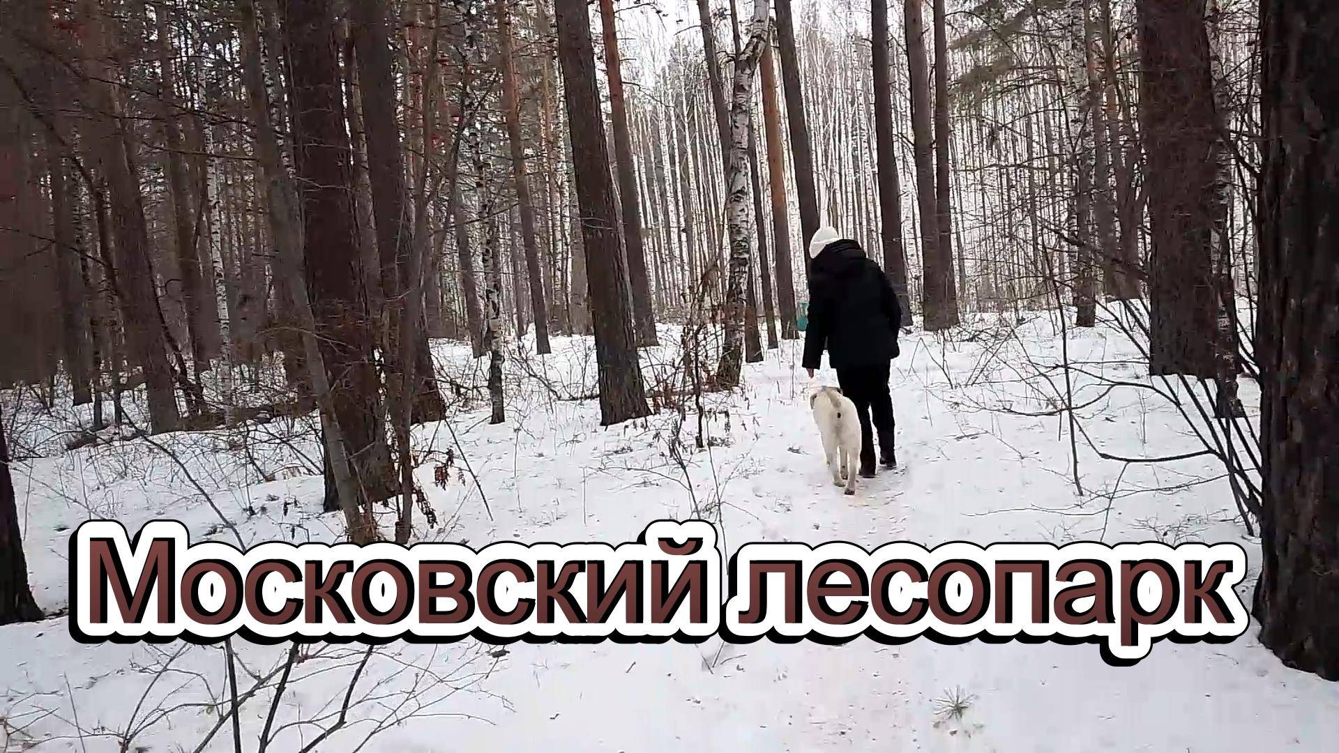 Московский лесопарк