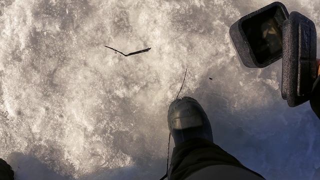 Клёв как на чёрных камнях