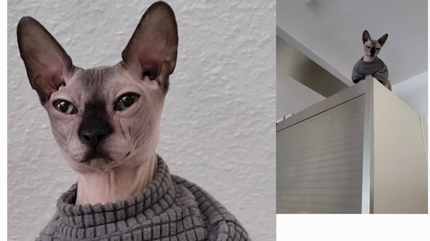 Привет от Аполло