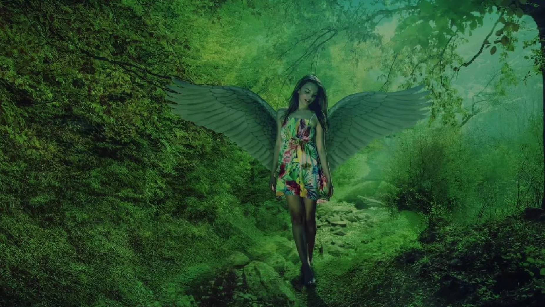 ПЕСНЬ ПРО СОЛОВЬЯ