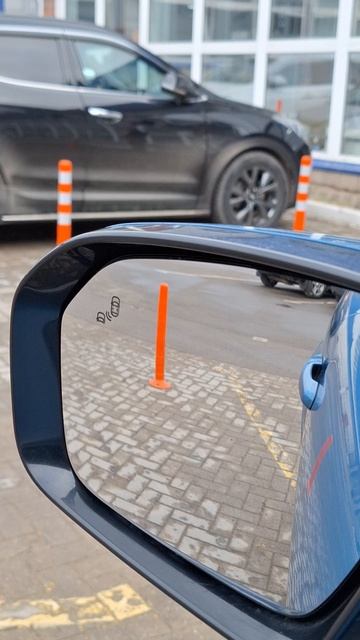 Range Rover Evoque система blind spot