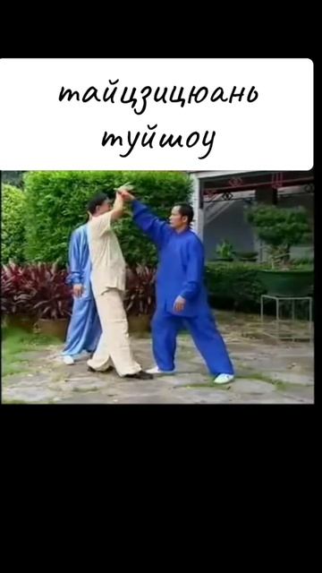 05 дань туйшоу цзибэньгун тайцзицюань