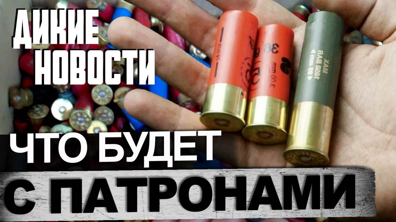 Сколько будут стоить патроны?