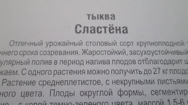 Тыква Сластёна  Семена