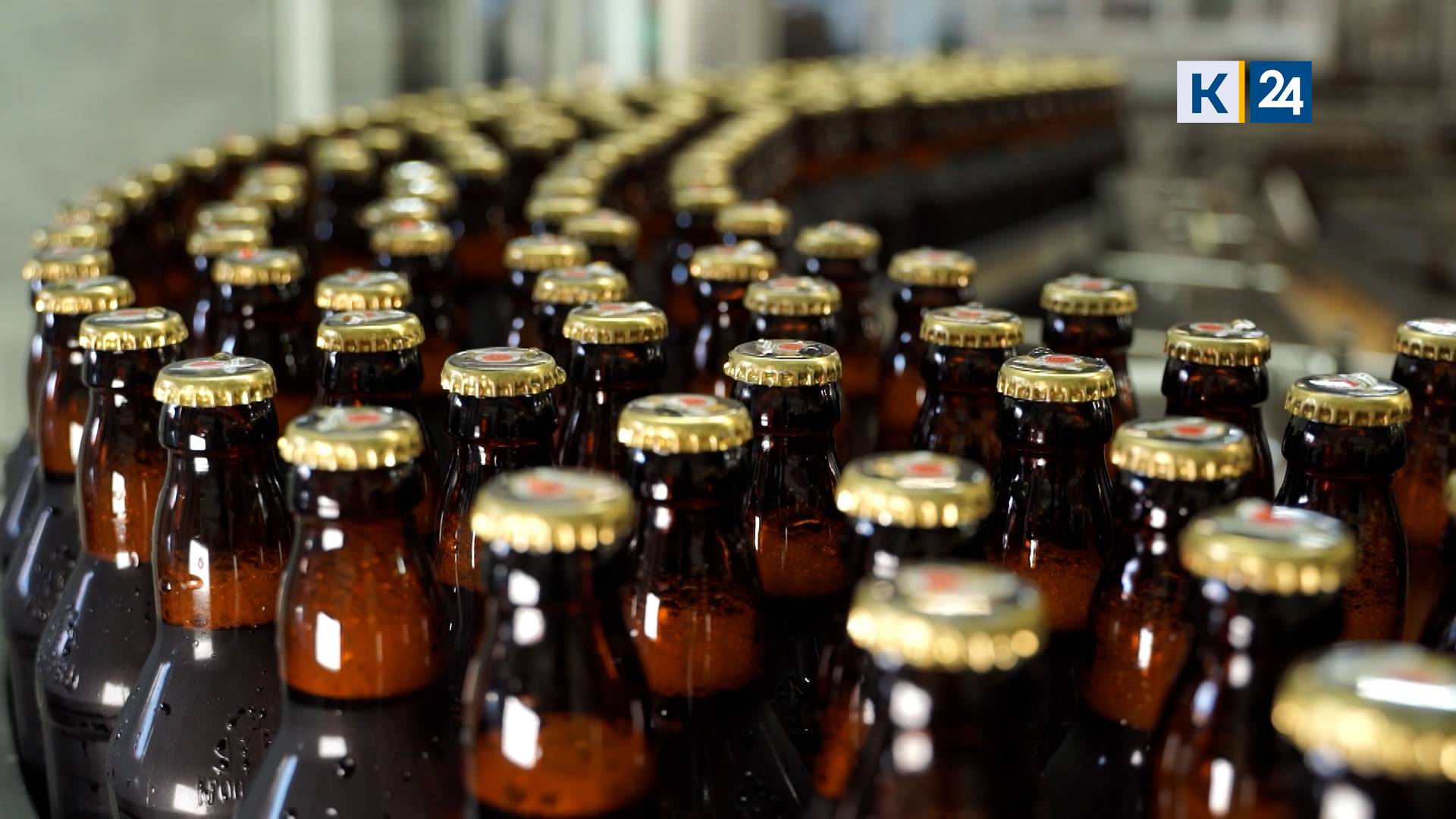 Бизнес на дрожжах: как варят пиво на Кубани. Реальный сектор 13.03.2025