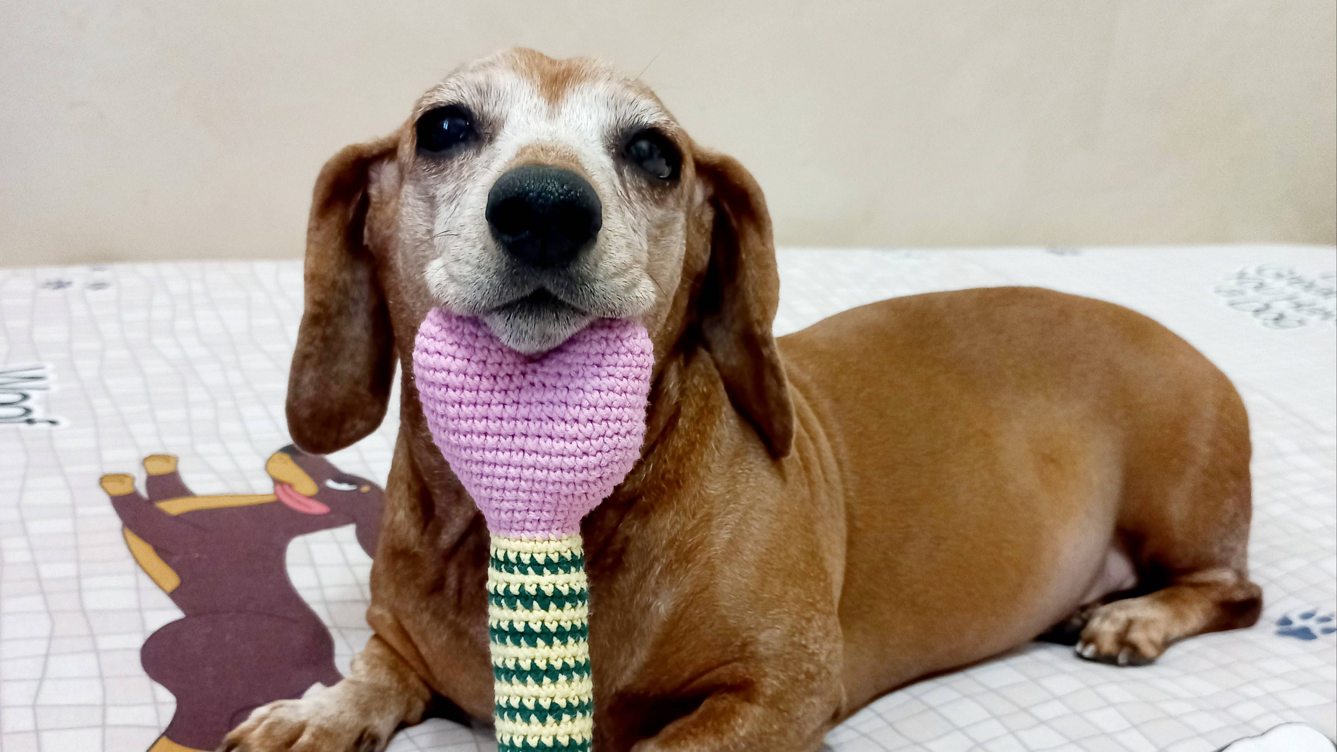 игрушка для любимых