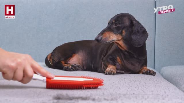 Факторы чистоты | ЧИСТОТА В УДОВОЛЬСТВИЕ