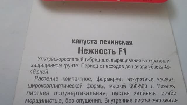 Капуста Пекинская Нежность F1 Семена