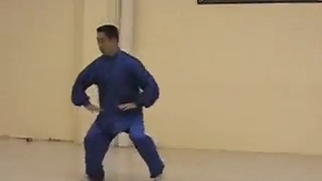 Ченьши Тайцзицюань мастер Хай Ян в начале 2000-х годов