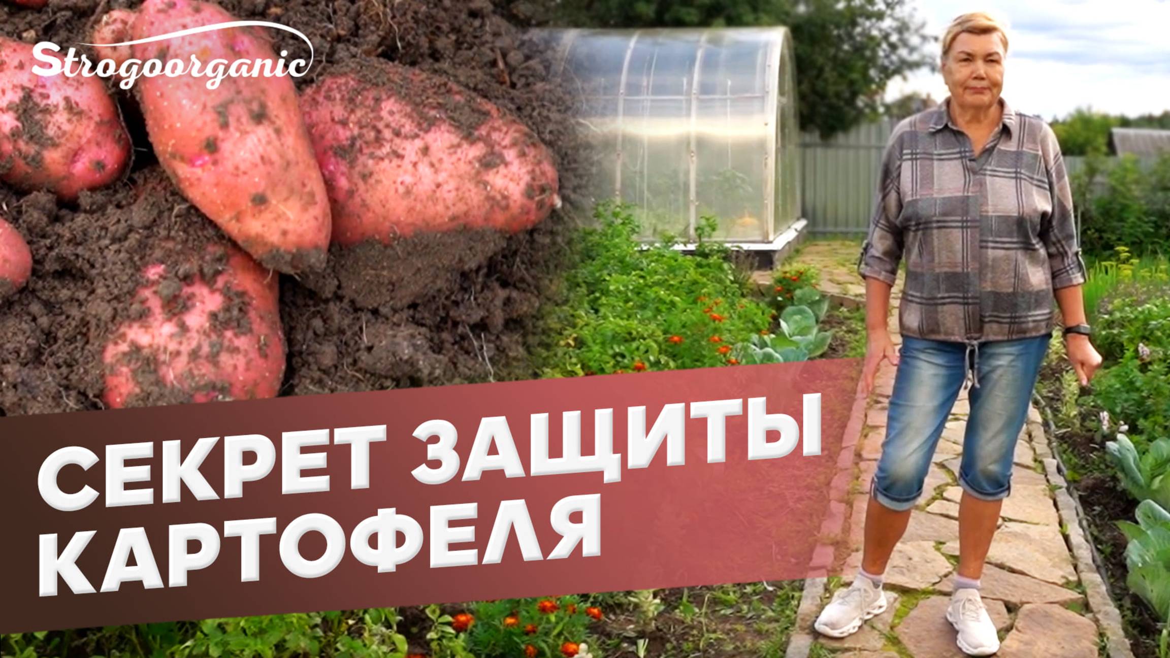 Можно так защитить картофель? / Ученицы Strogoorganic
