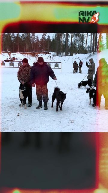 Стреляем в лёт! Соревнования в Беларуси март 2025 RikaNV #hunting #соревнования #белоруссия