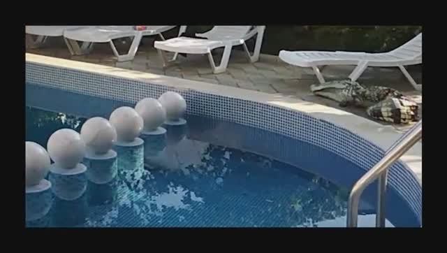 Анапа отдых в августе