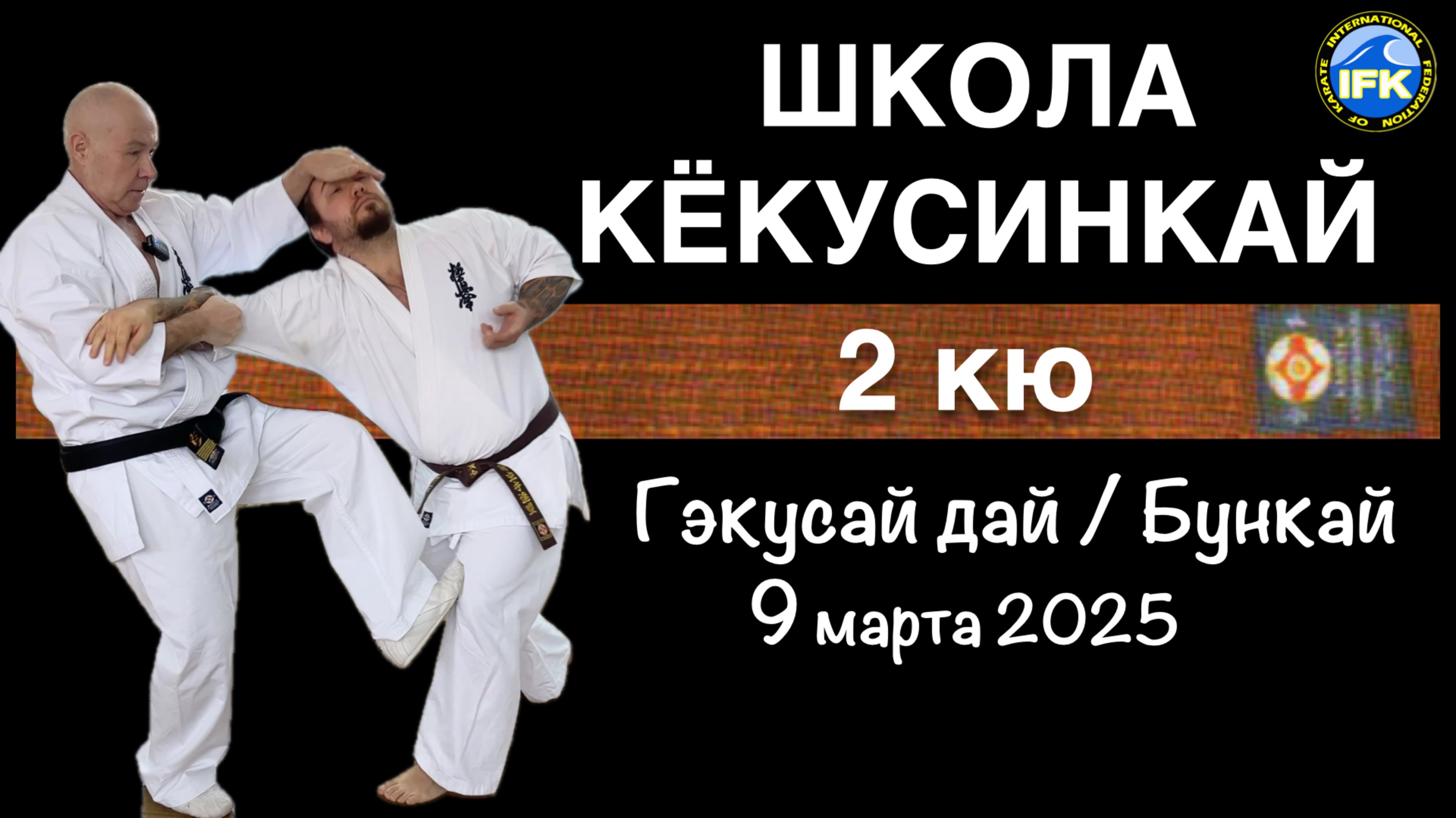 Школа Кёкусинкай / 2 й кю / Гэкисай дай - Бункай