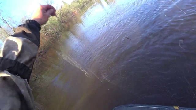 ✅📥 Видео с Ютюб. Проверка сетей.