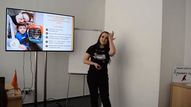 Команда «Муркоши» провела лекцию «Животные в приюте»