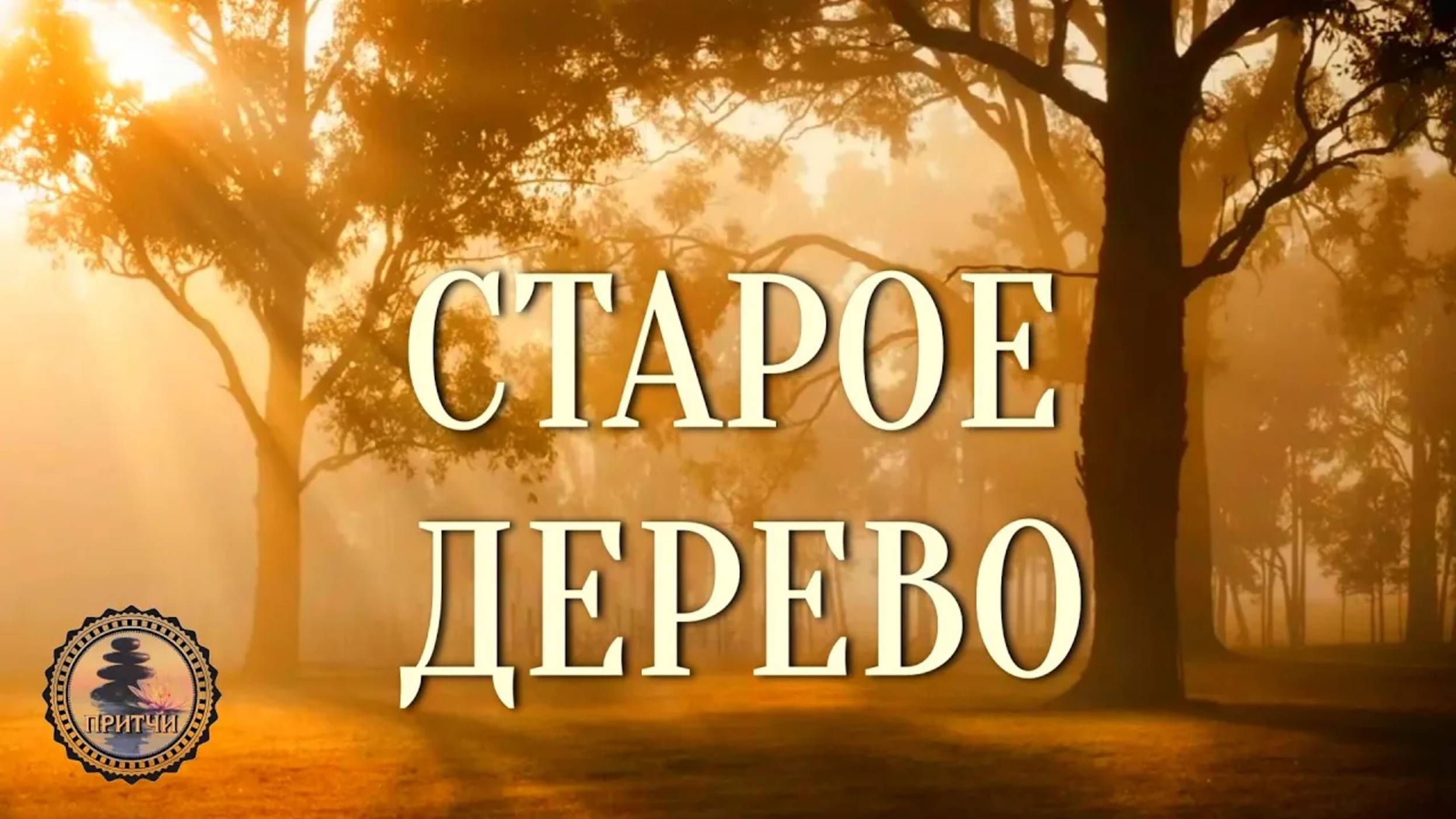 #Притча "Старое дерево"