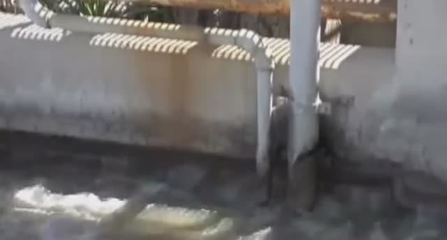 .... Как Очистные сооружения очищают Сточные воды....